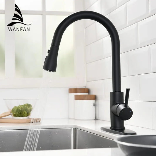 Black Single Handle Pull Out Kitchen faucet