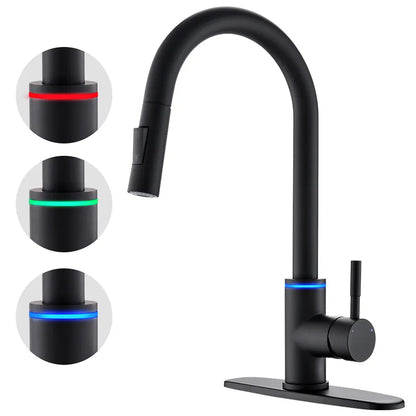 Black Single Handle Pull Out Kitchen faucet